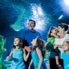 Image of Aquariums
