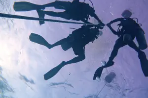 Tour image of Join us for a RAID Try Dive in Kota Kinabalu