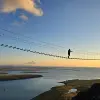 Image of Climbing