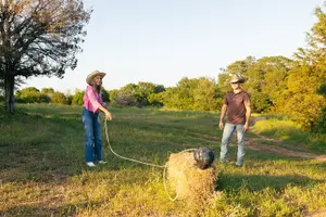 Tour image of Sunset Horseback Ride With Scenic Views
