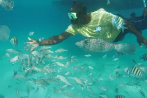 Image of Cayman Islands