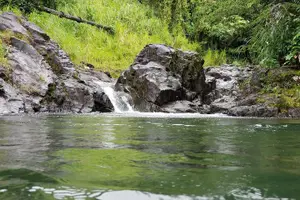 Tour image of Vermont Nature Trail with Topdawg Taxi and Tours