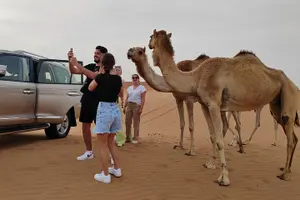 Tour image of Evening Desert Safari with BBQ Dinner