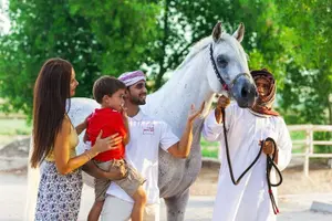 Tour image of Arabian Sunset Horse Riding & Stable Tour