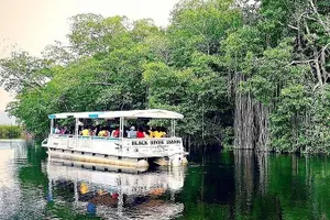 Tour image of YS Falls and Black River Safari South Coast from Negril Jamaica