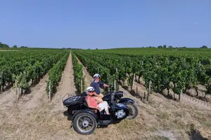 Tour image of Half-day private tour in Saint-Emilion in a sidecar