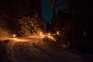 Tour image of Night Sledding from Interlaken