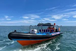 Tour image of Dunmore East Sea Safari to Hook Lighthouse