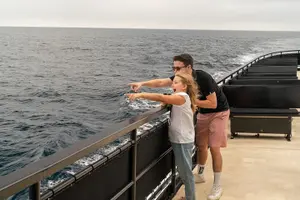 Tour image of San Diego Whale Watching Cruise