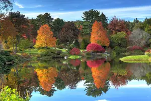 Tour image of Acadia National Park & Bar Harbor Self-Guided Driving & Walking Tour