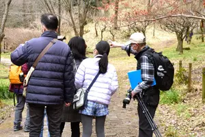 Tour image of Easygoing Nature Walk in Hakone Tour