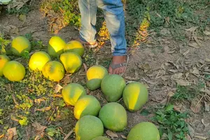Image of Cambodia