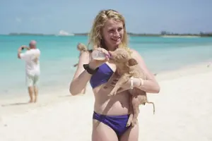 Tour image of Exuma Swimming Pigs Full Day Boat Tour