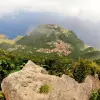 Image of Nature Walks