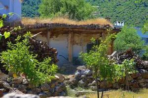 Tour image of Private Bodrum Village Tour + 1 Glass Free Local Wine
