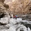 Image of Eco Tours