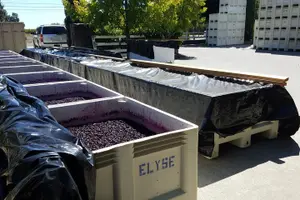 Tour image of 6 Hour Private Customized Wine Tour up to 7 Guests Napa & Sonoma