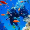 Image of Freediving