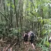 Image of Mountain Bike Tours