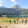 Image of Nature and Wildlife Tours
