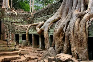 Tour image of Full-Day Angkor Wat Sunrise Private Tour with Guide from Siem Reap