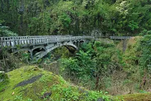 Tour image of Road to Hana Adventure Maui Tour with Lunch