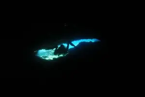 Tour image of Local Guided Dives (for certified/licensed divers)