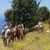 Image of Horseback Riding