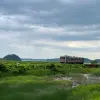 Image of Eco Tours