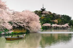 Tour image of Yokohama Private Tours with Locals: 100% Personalized, See the City Unscripted