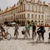 Image of Mountain Bike Tours