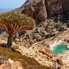 Image of Eco Tours
