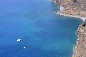 Tour image of Dolphin and Whale Watching Catamaran Cruise from Funchal