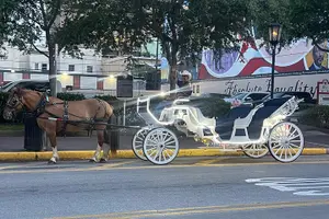 Tour image of Private Carriage Tour of Galveston