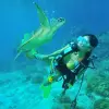 Image of Freediving
