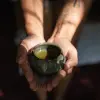 Image of Traditional Wellness