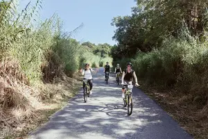 Tour image of Mountain Biking Gold Mine Full-Day Tour