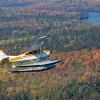 Image of Seaplane Tours