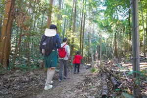 Tour image of Fushimi Inari Hidden Hiking Tour