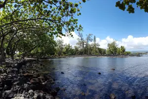 Tour image of Hilo Shore Excursion: Active Volcano, Lava Tube, Waterfall and Gardens