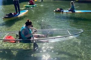 Tour image of Crystal River: Clear Kayak Manatee Eco Tour (Free Photo Package)