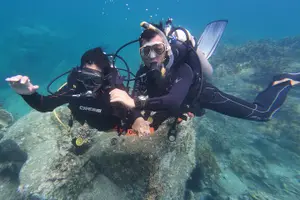 Tour image of Fun Dives - Guided Dives for Certified Divers