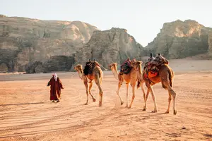 Tour image of Private Transportation from Amman to Top Touristic Cities.