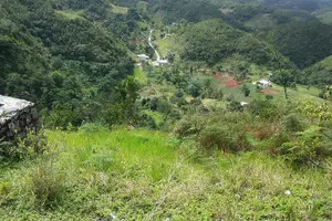 Tour image of Private Tour Ocho Rios or Runaway Bay To 9 Mile Bob Marley Birth & Resting Place