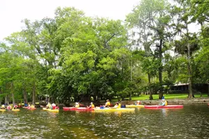 Tour image of Wekiva River Guided Kayak Tour