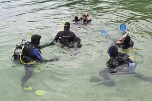 Tour image of Diving Bled