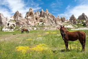 Tour image of Daily Green Tour of Cappadocia - South Cappdocia