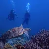 Image of On the Water