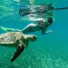 Image of Wildlife Watching
