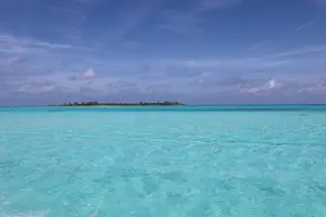 Tour image of Nassau: Swimming Pigs & Island Escape with Bahamian Lunch